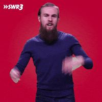 Oh My God Omg GIF by SWR3