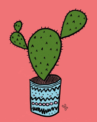 Mexican Cactus GIF by scholzydesign