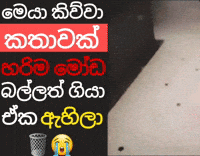 Sri Lanka Sl GIF