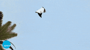 GIF by Space