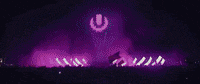 ultra dance party fire festival GIF
