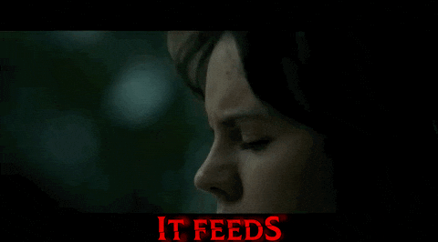 Ashley Greene Horror Movies GIF by Signature Entertainment