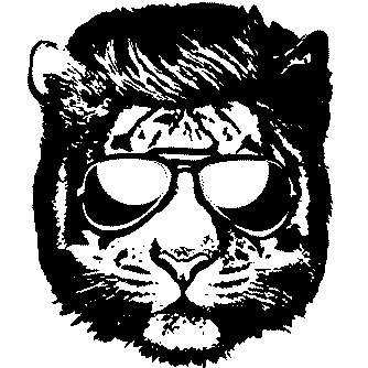 rallyraid rallypilot Sticker by Silk Way Rally