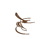 Coffee Turkmenistan Sticker by Bossan concept