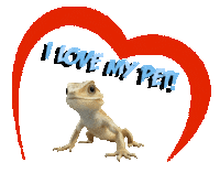 Guinea Pig Love Sticker