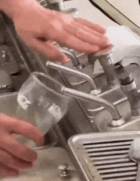 International Break GIF