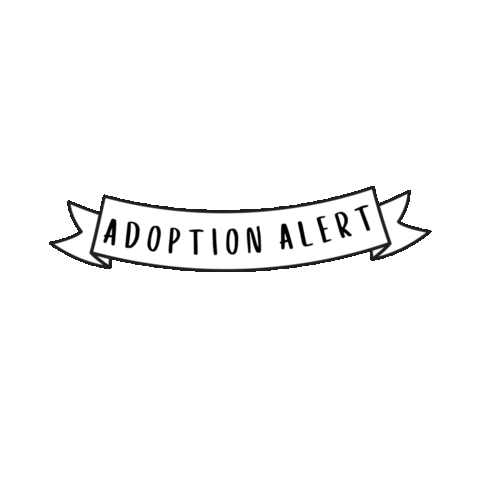 petstreetonline adopt adoption adoptdontshop adopt me Sticker