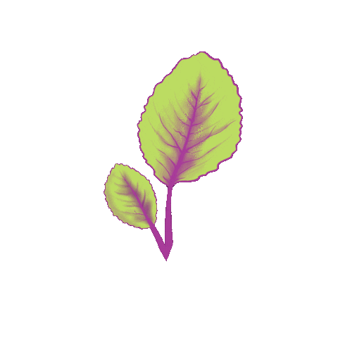 DerVeganeFlammkuchen giphyupload vegan leaf blatt Sticker