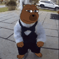Bobo Cute Bear GIF by Bear Market Memes