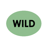 Wild Sticker by Blackhearts & Sparrows