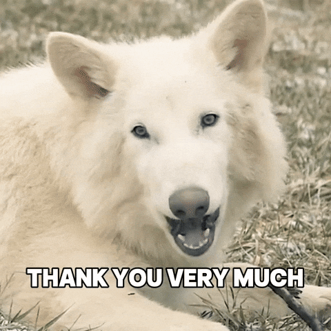 Thanks Wolf GIF by Colossal