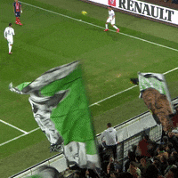 france fan GIF by AS Saint-Etienne