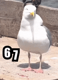 Dies 6 7 GIF
