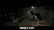 Movie Films GIF by Signature Entertainment