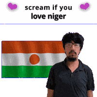 Niger Flag Ne Sticker