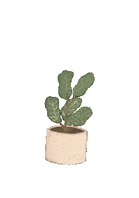 Biancalcantara love heart plant planta Sticker