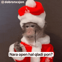 Monkey GIF