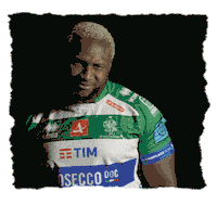 Leoni Sticker by Benetton Rugby