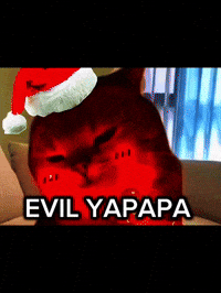 Cat Meme Follow Me Please GIF