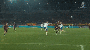 433StalMielec assist ilya mielec ekstraklasa GIF