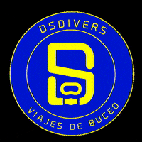 Trend Love GIF by DSDIVERS SL