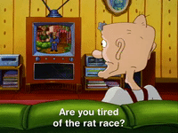 hey arnold nicksplat GIF