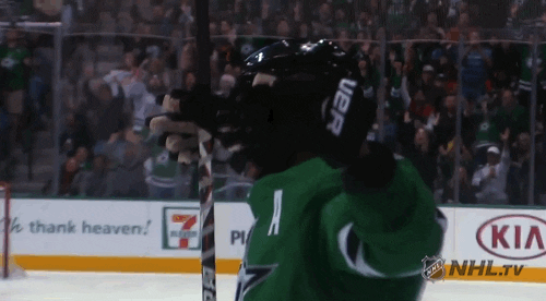 happy ice hockey GIF by NHL