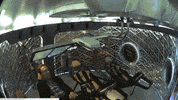 future GIF