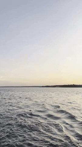 rodgcm giphyupload GIF