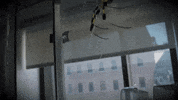 Halloween Web GIF by Science Friday