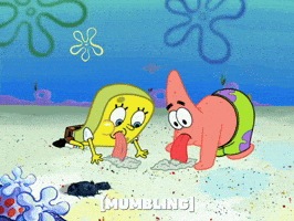 season 6 GIF by SpongeBob SquarePants