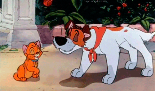Fake out oliver and company GIF