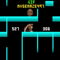 Maze 497 Mose GIF