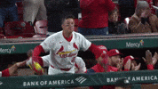 Flying St Louis Cardinals GIF by MLB