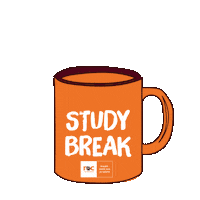 ROCvanFlevoland school college study student Sticker