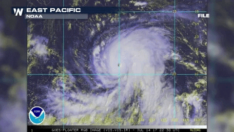 KKlosWN giphygifmaker GIF