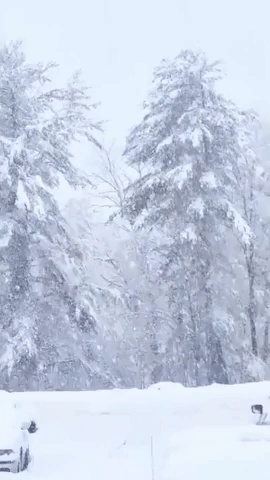 Heavy Snow in Berkshires as Nor'easter Moves In