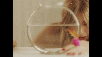 Fish Fishbowl GIF by Hunter Daily