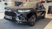 Honda Design GIF by Namaste Car