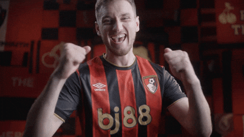 Premier League Football GIF by AFC Bournemouth