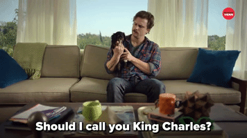 Should I Call You King Charles?