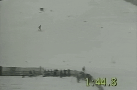 VicVik giphyupload GIF