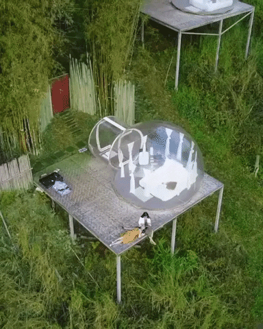 yj_jane giphygifmaker GIF