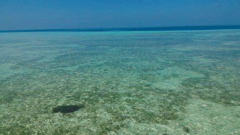 #seascape #maldives #clearwatersea #turquoise #paradise GIF