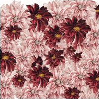 Mind Kind GIF by HSBC India