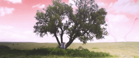 Music Video Dancing GIF by Netta