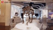 Travel Texas GIF by Visit Fort Worth