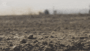 Global Warming Work GIF by NRDC