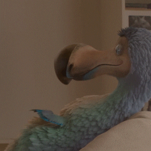 Dodo_Australia wow shock woah dodo GIF