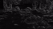 Black And White Film GIF